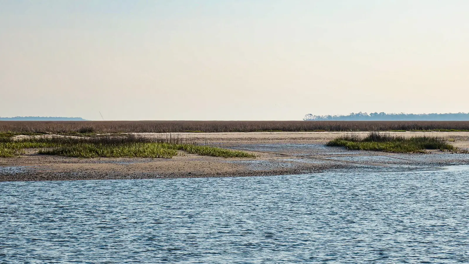 The shoreline at St. Catherines Island.
