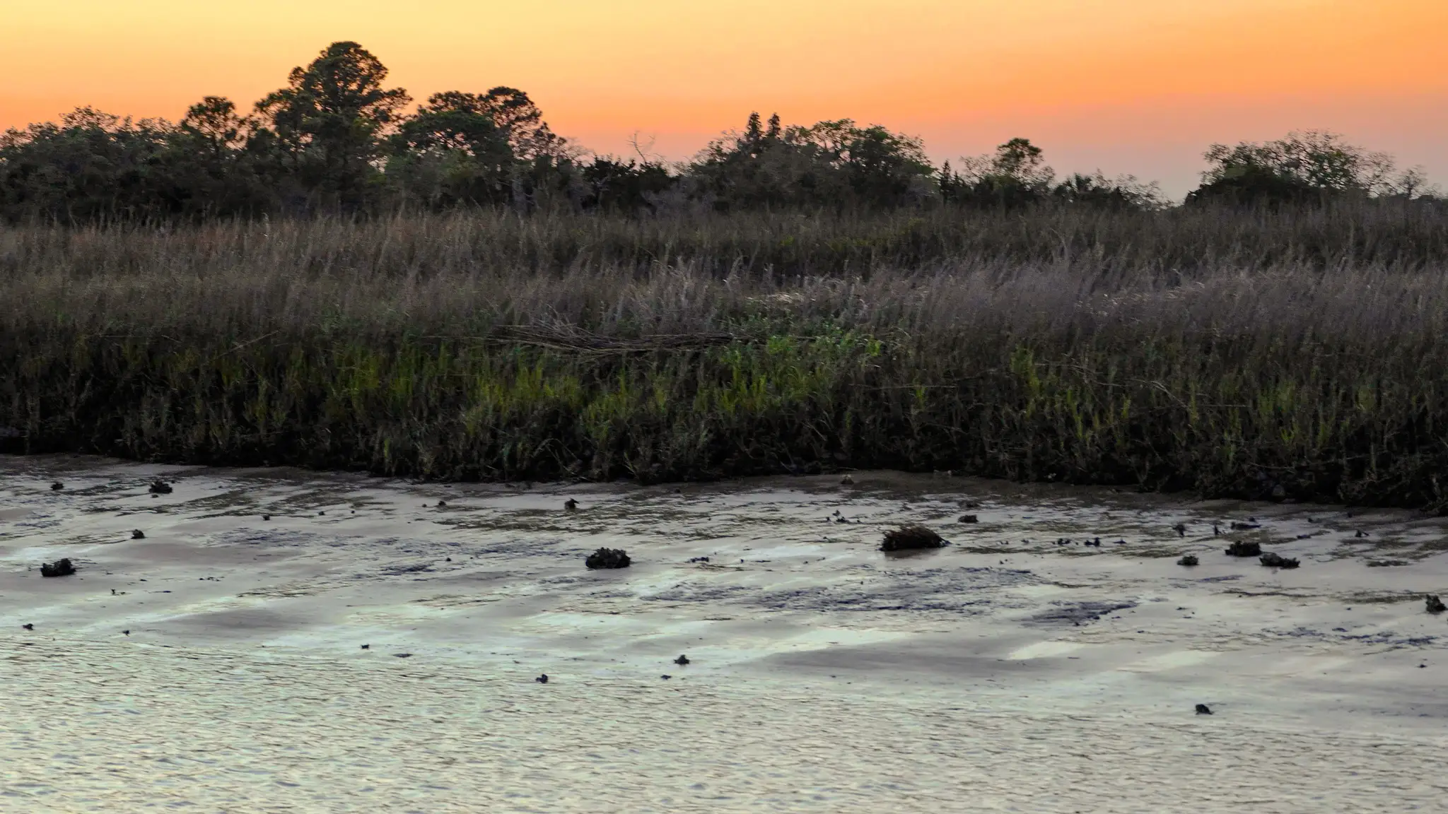 The exposed shoreline of Turner Creek.