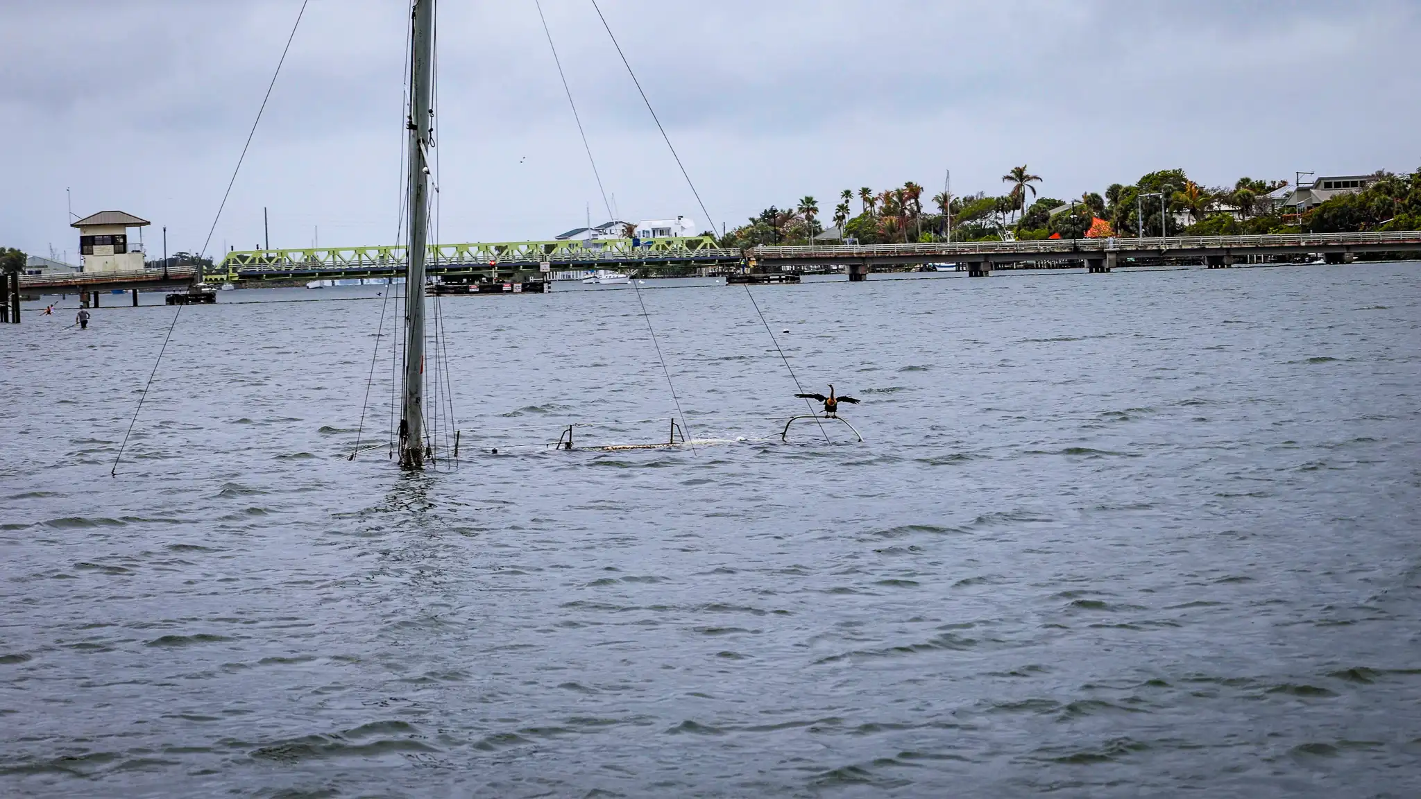 A cormorant drying its wings on the mast of a sunken sailboat.