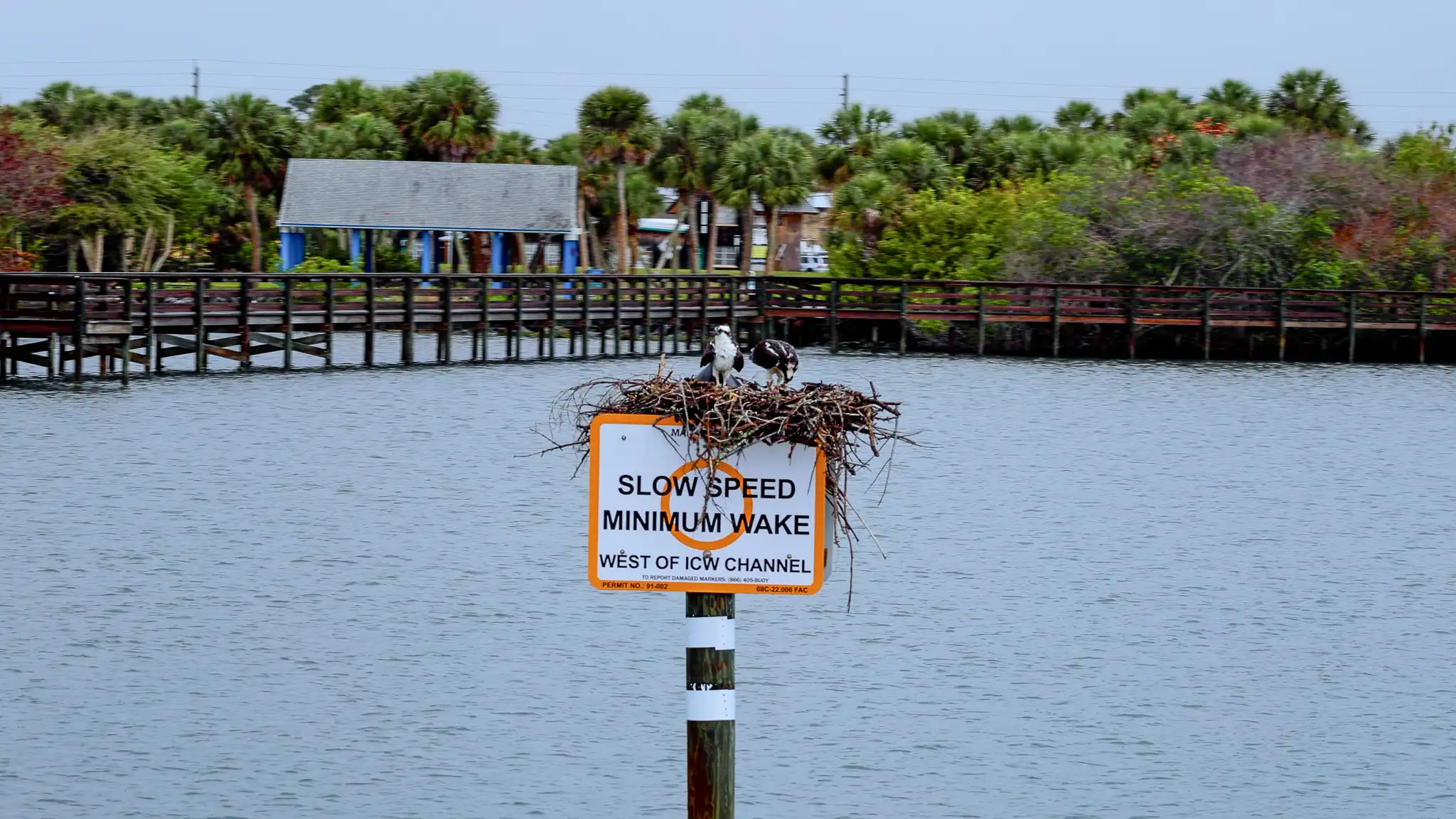 An osprey pair in their nest on a "Slow Speed Minimum Wake" sign.