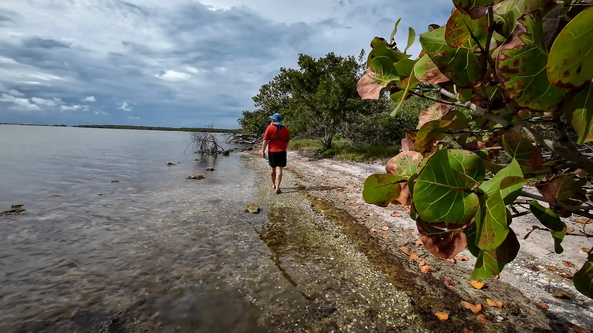 Tom walking the shoreline at our Great Loop anchorage.