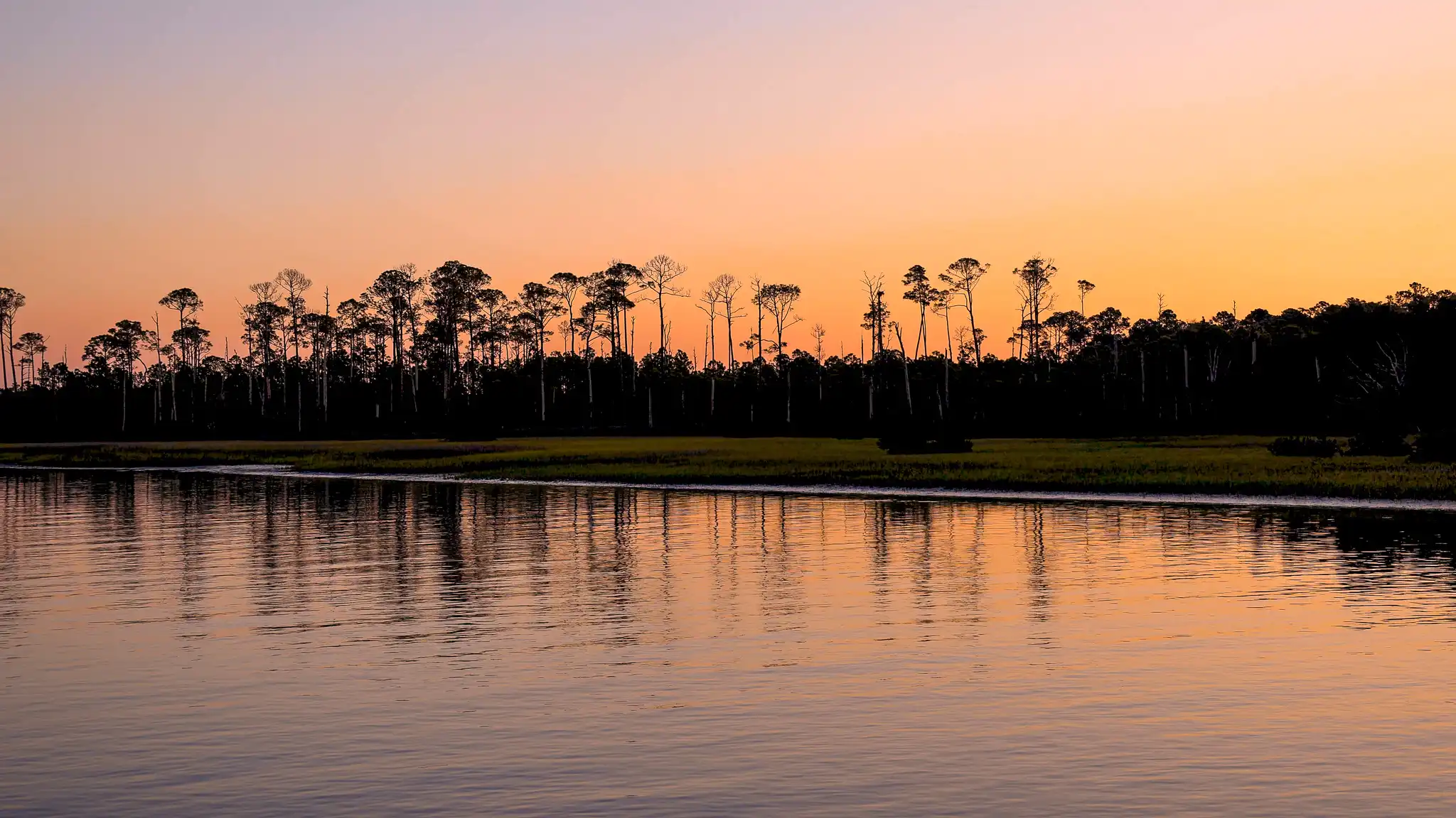 Sunrise at the Pine Island Anchorage, slah pines in the background.