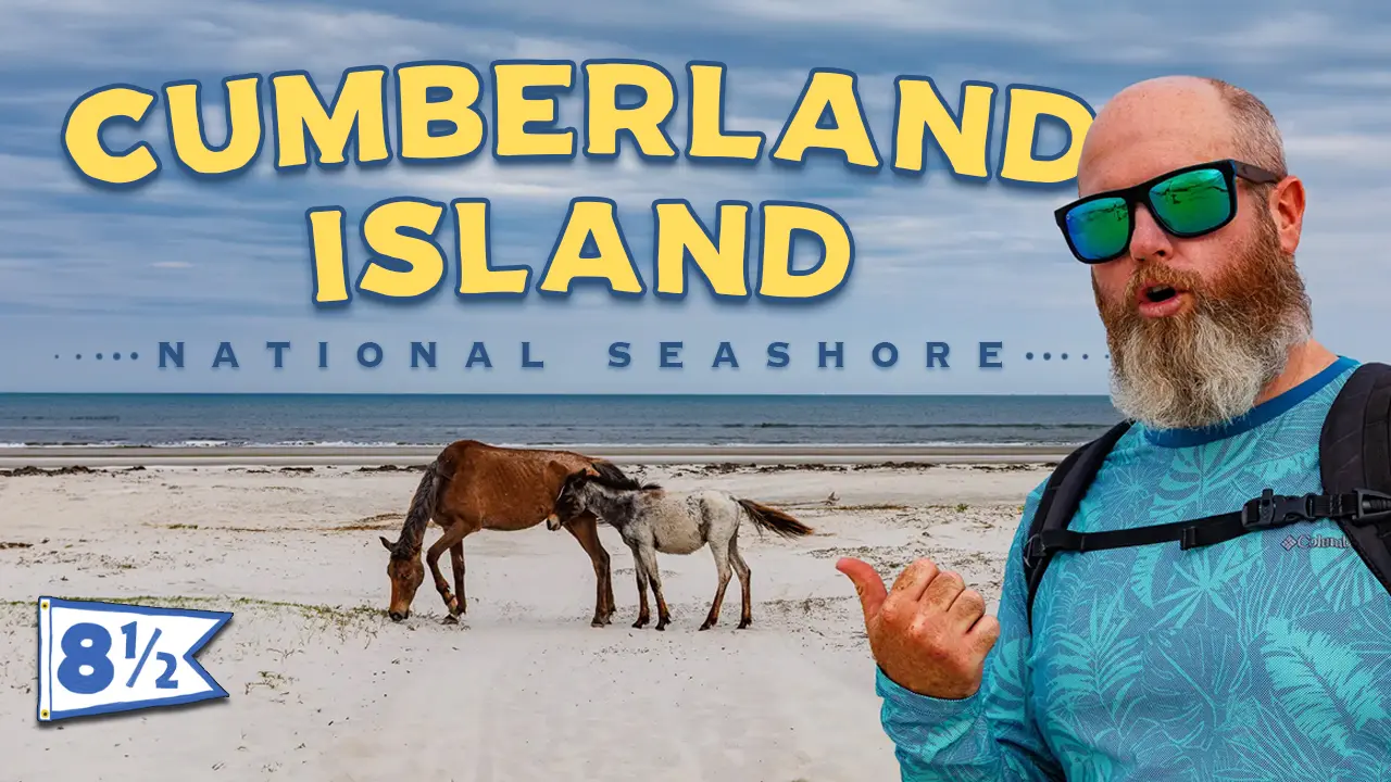 Cumberland Island National Seashore