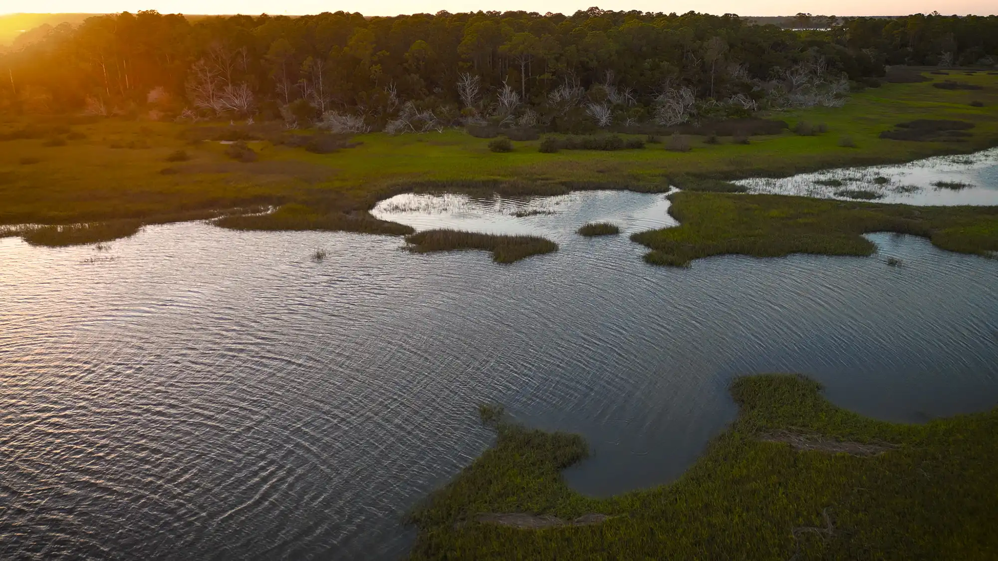 Pine Island Anchorage Review