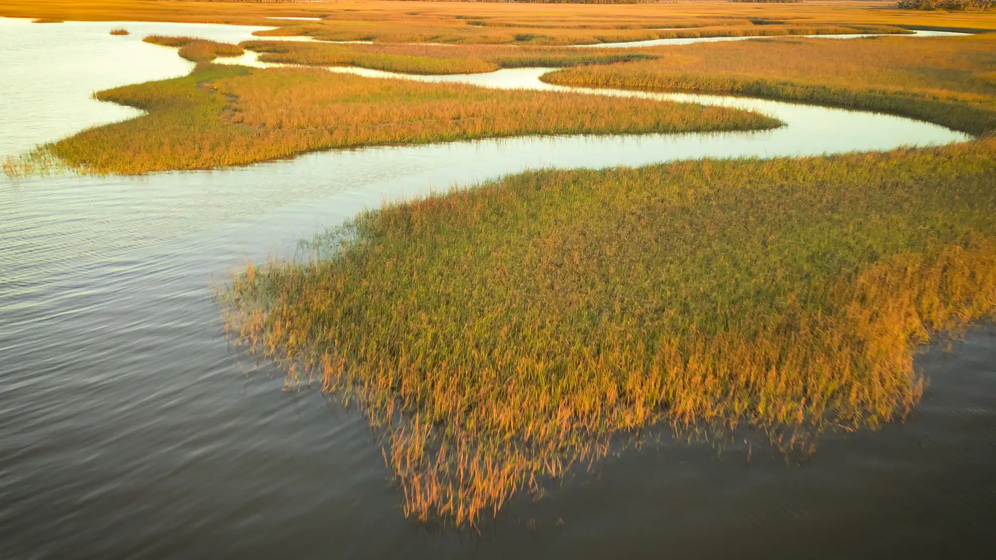 Marshes at the Pine Island anchorage.