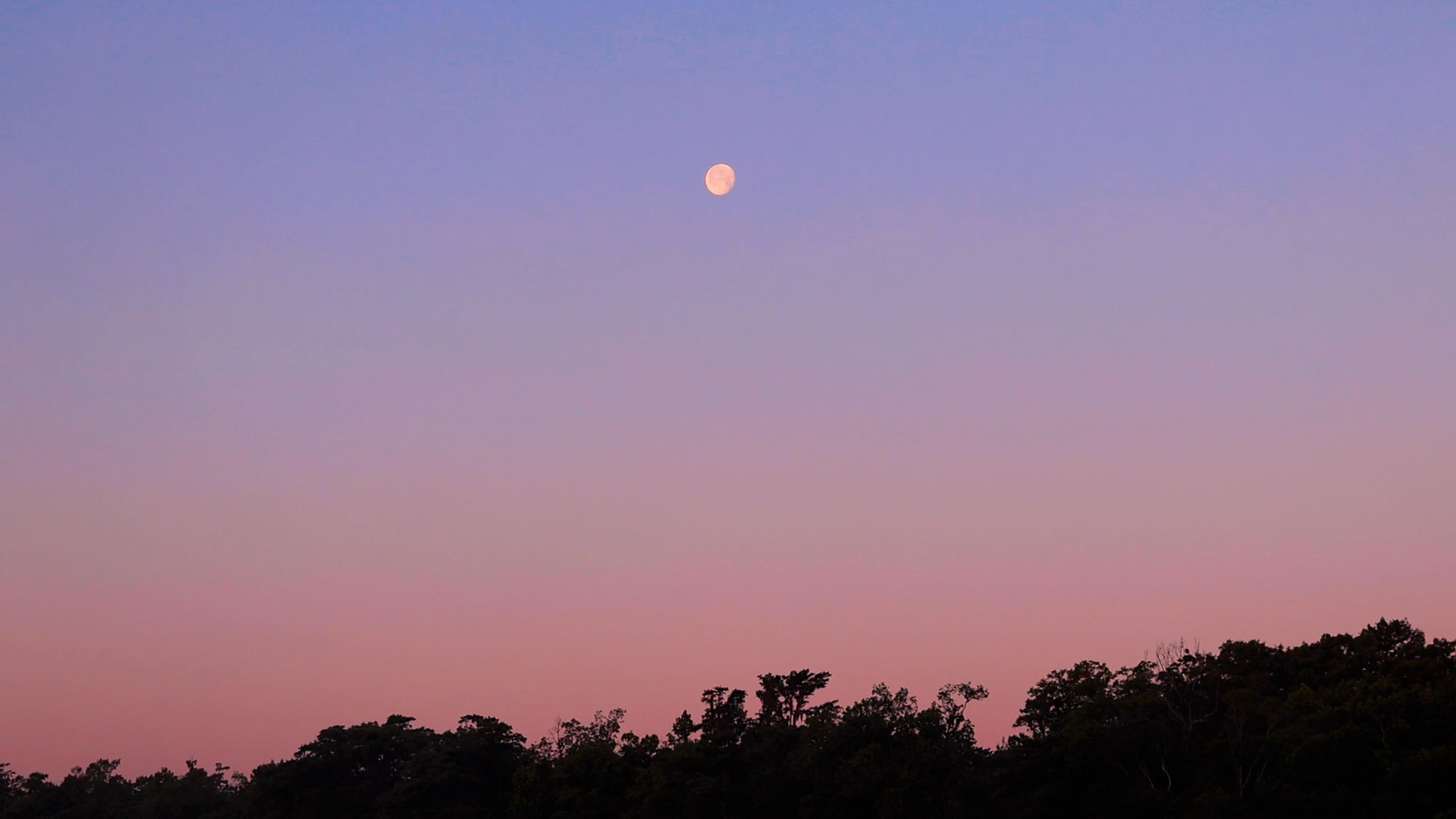 A bright, almost full, moon over Bull Creek.