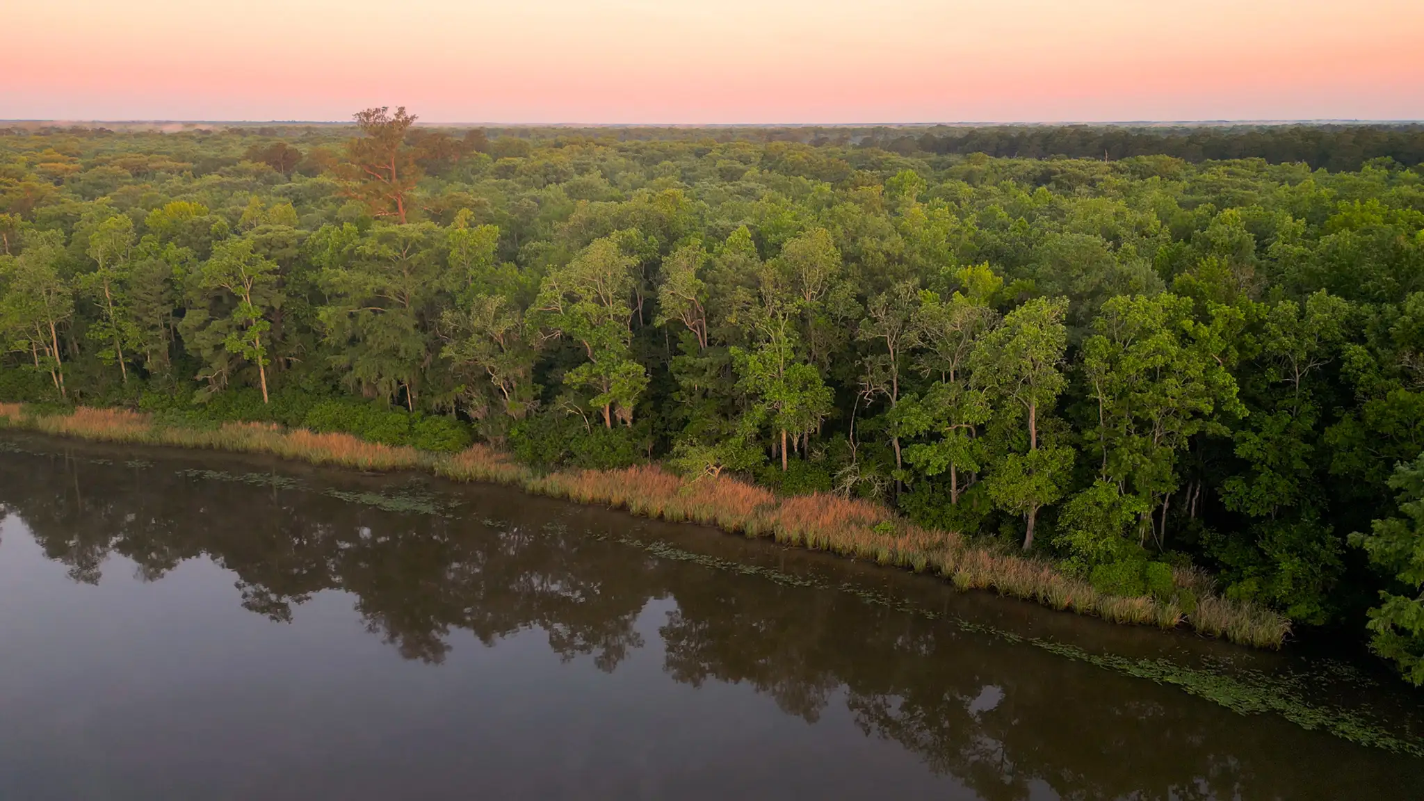 The swamp surrounding this Great Loop anchorage inn South Carolina.