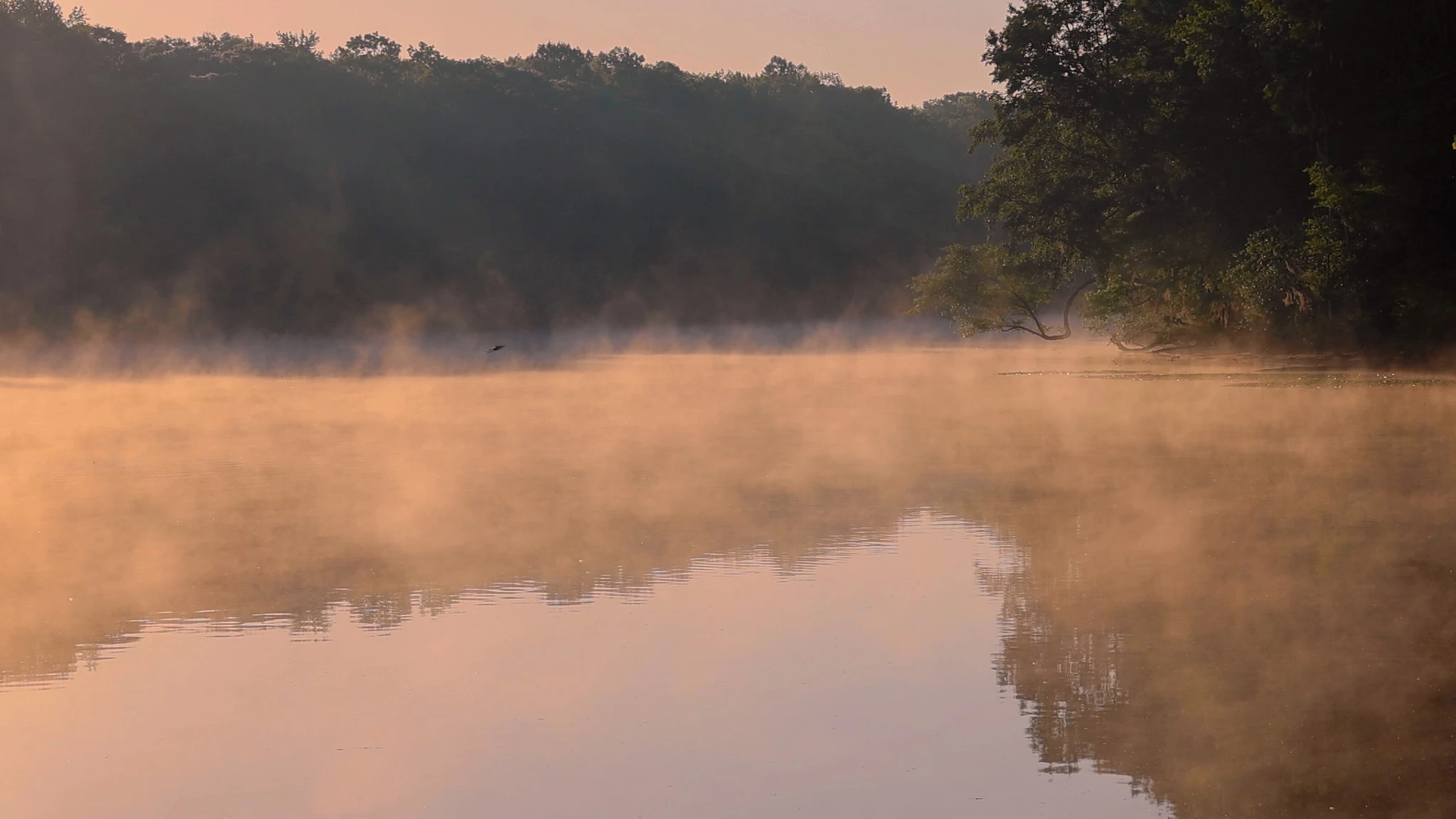 A misty morning at our South Carolina anchorage on the Great Loop.